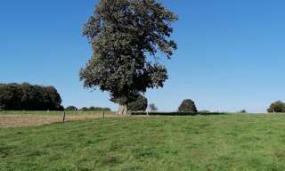 Maison 1 Pièce 1 m² à vendre à Ceaucé (61330)