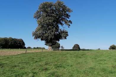 Maison 1 pièces 59000 €