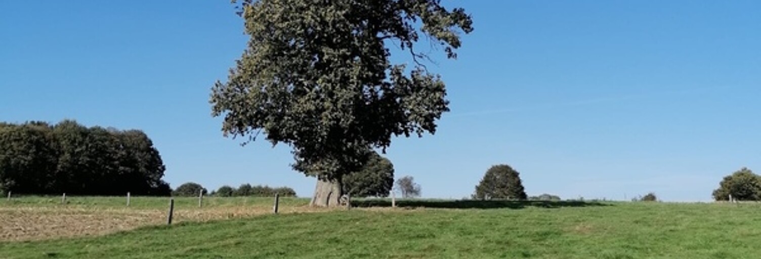 Maison 1 Pièce 1 m² à vendre à Ceaucé (61330)