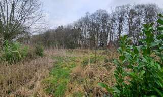 Terrain  699 m² à vendre à Dénestanville (76590)