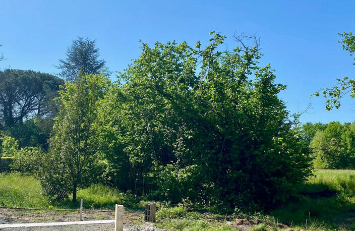Terrain à vendre  viabilisé 573 m² LE TAILLAN MEDOC (33)   Libre de constructeur — photo 2