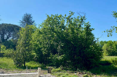 Terrain  208000 €