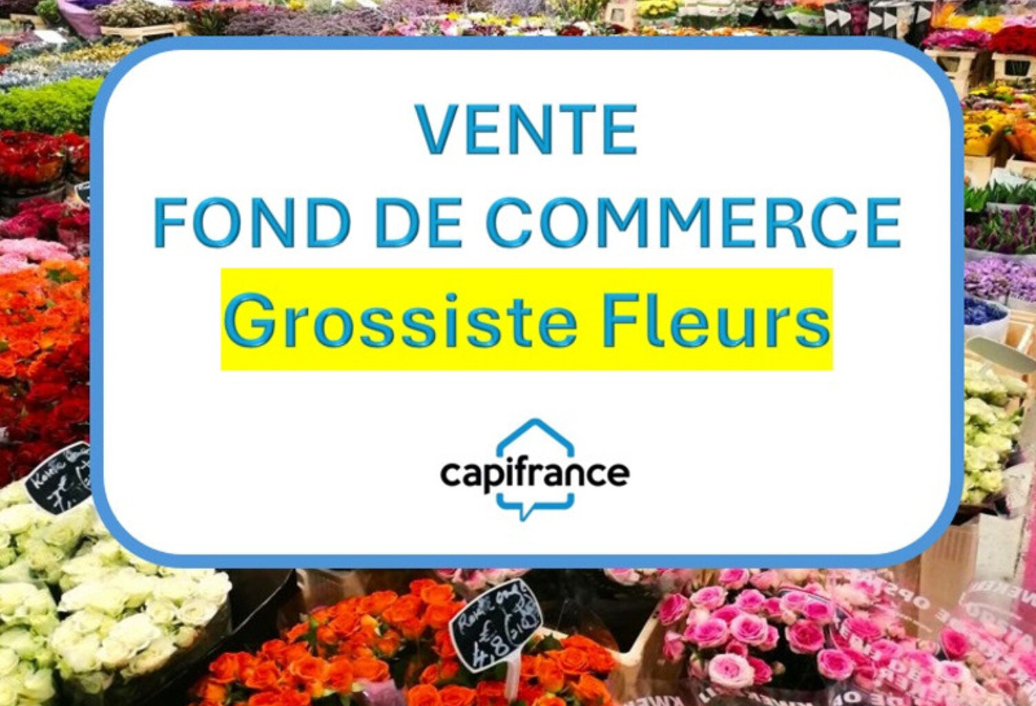 BASTIA : vente FDC GROSSISTE FLEURS ET PLANTES — photo 1