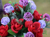 BASTIA : vente FDC GROSSISTE FLEURS ET PLANTES — photo 2