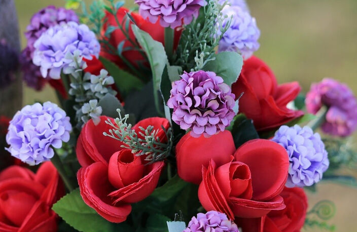 BASTIA : vente FDC GROSSISTE FLEURS ET PLANTES — photo 2