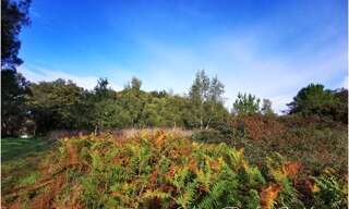 Terrain  20450 m² à vendre à Guer (56380)