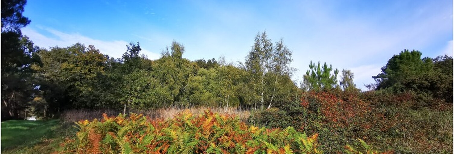 Terrain  20450 m² à vendre à Guer (56380)