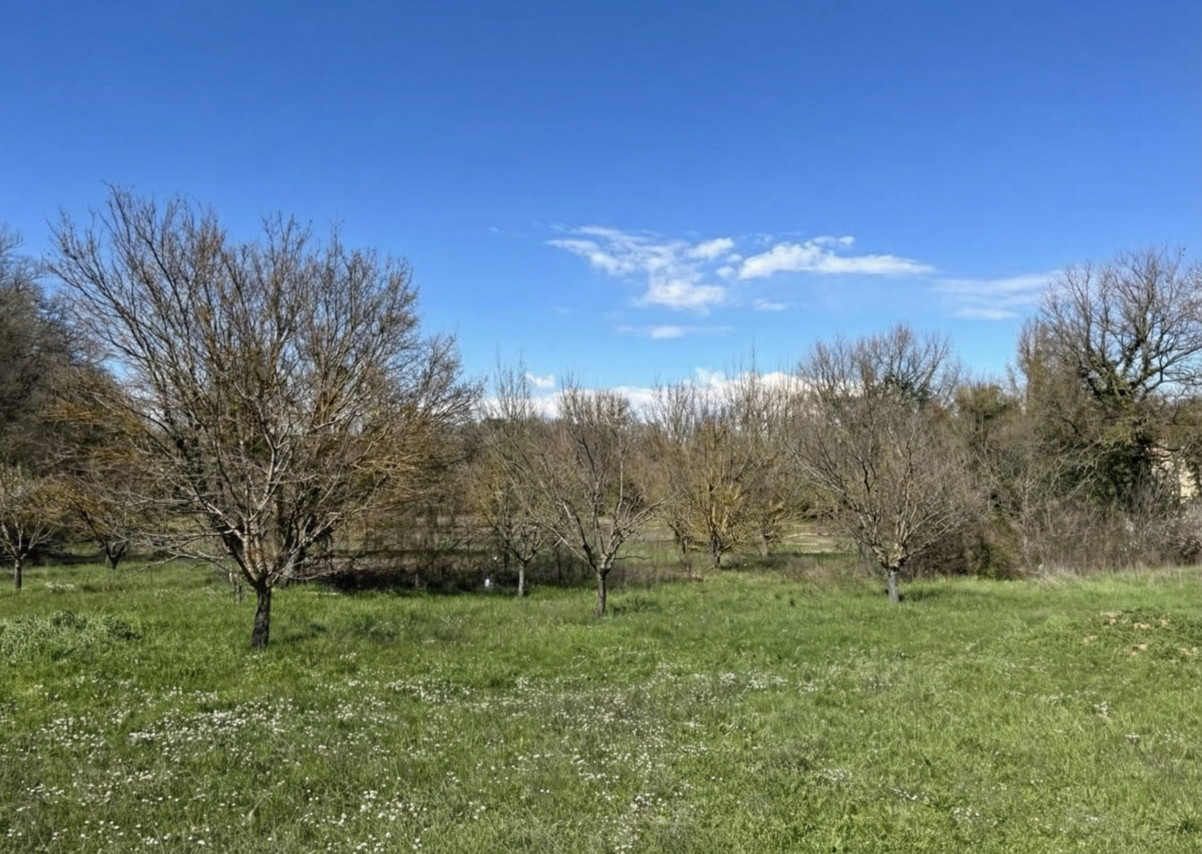 Terrain  à vendre Saint-Maximin-la-Sainte-Baume 83470