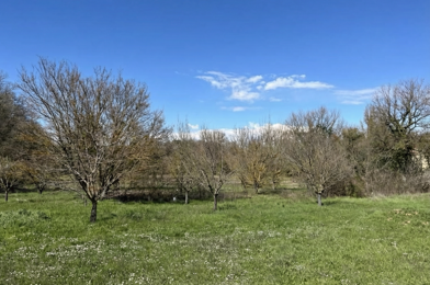 Terrain  175000 €