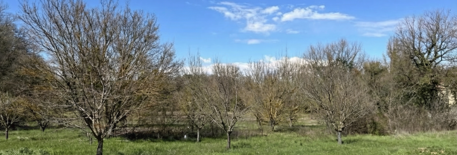 Terrain 1500 m² à construire Saint-Maximin-la-Sainte-Baume (83470)