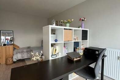 Appartement 1 pièces 510 €