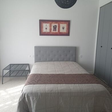 Appartement 1 pièces 585 €