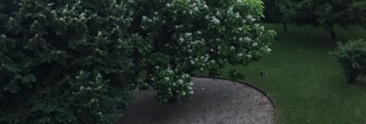 Appartement 1 Pièce 27 m² à louer à Grenoble (38000)