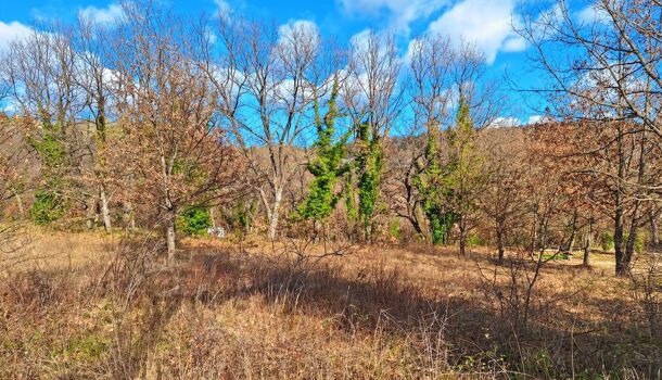 Terrain  à vendre Quinson 04500