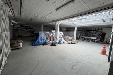 Local industriel  1300000 €
