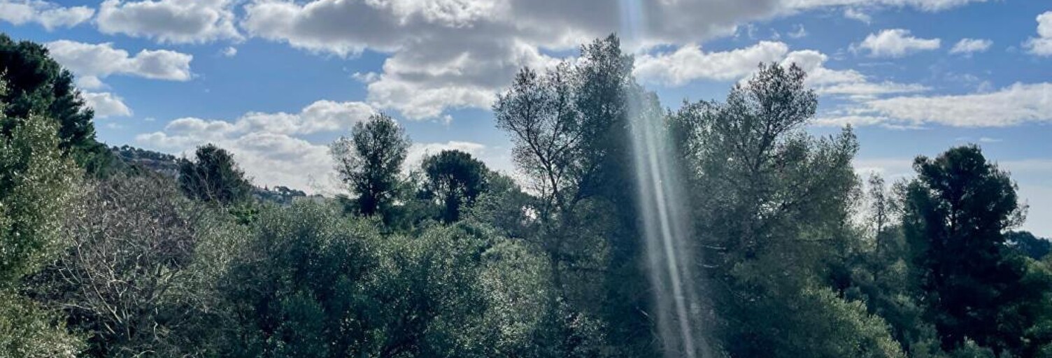 Appartement 2 Pièces 45 m² à vendre à Toulon (83200)