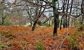 Terrain  2050 m² à vendre à Saint-Julien-en-Born (40170)