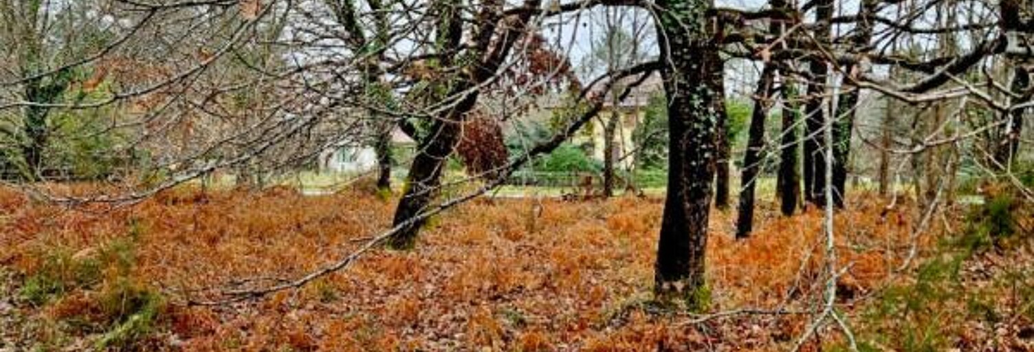 Terrain  2050 m² à vendre à Saint-Julien-en-Born (40170)