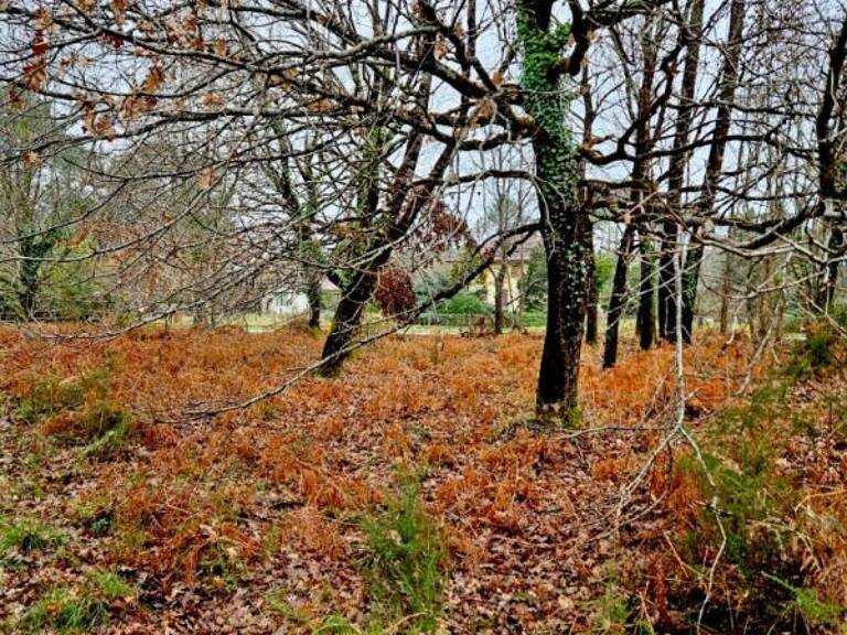 Terrain route de Contis — photo 1