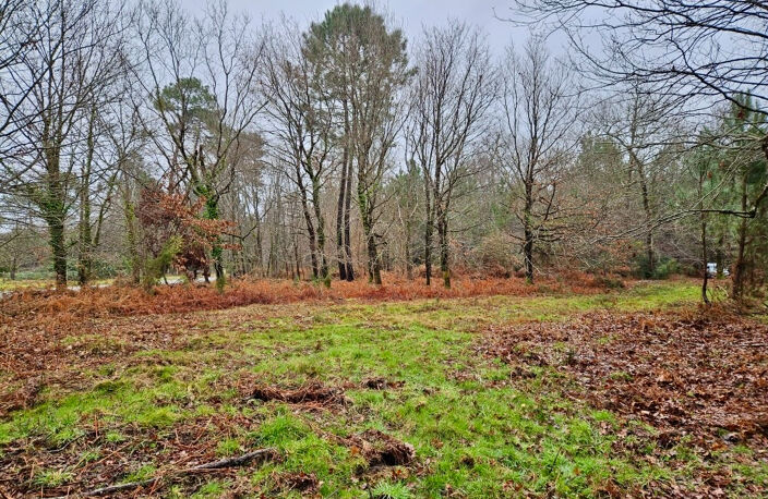 Terrain route de Contis — photo 2