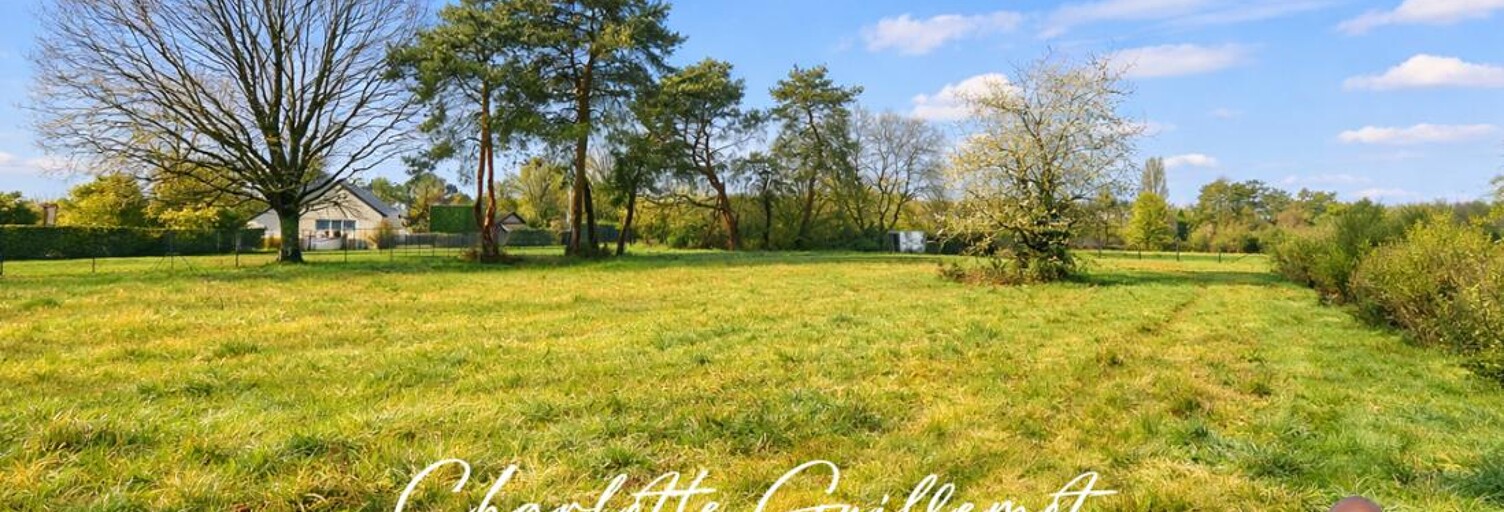 Terrain  2496 m² à vendre à Villefranche-sur-Cher (41200)
