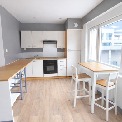 Appartement 2 pièces 520 €