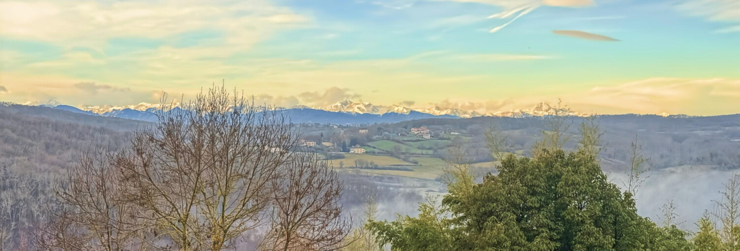 Maison 7 Pièces 305 m² à vendre à Laffite-Toupière (31360)