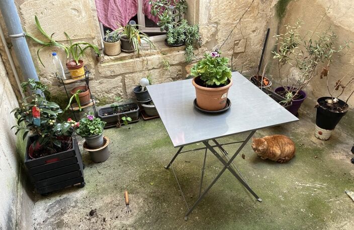 Appartement — photo 3