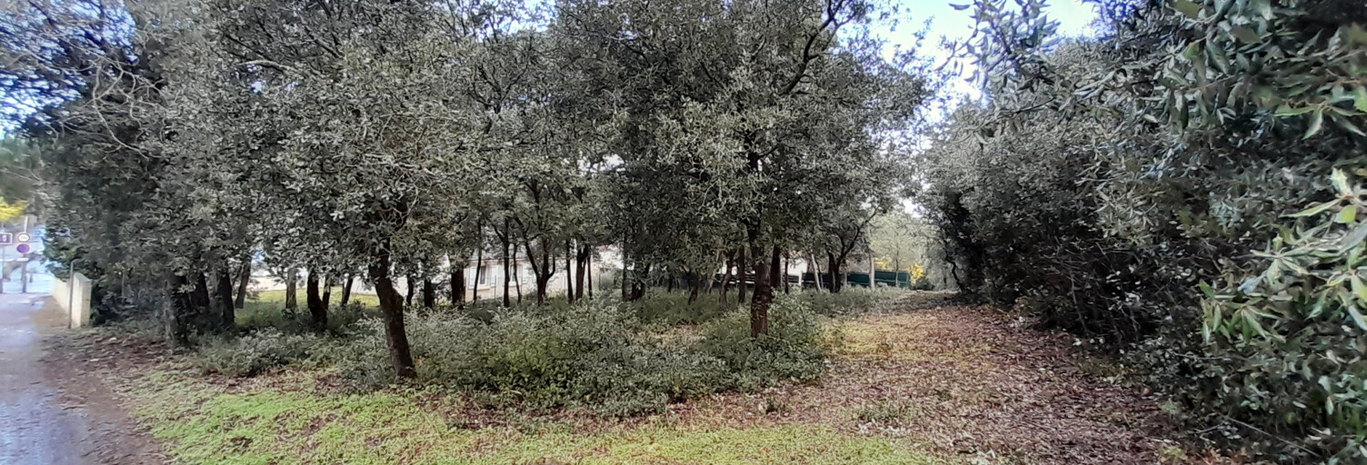 Terrain  735 m² à vendre à La Tranche-sur-Mer (85360)