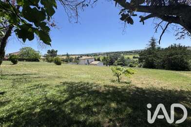 Terrain  250000 €