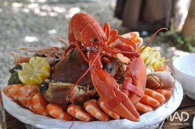 Commerce  275000 €