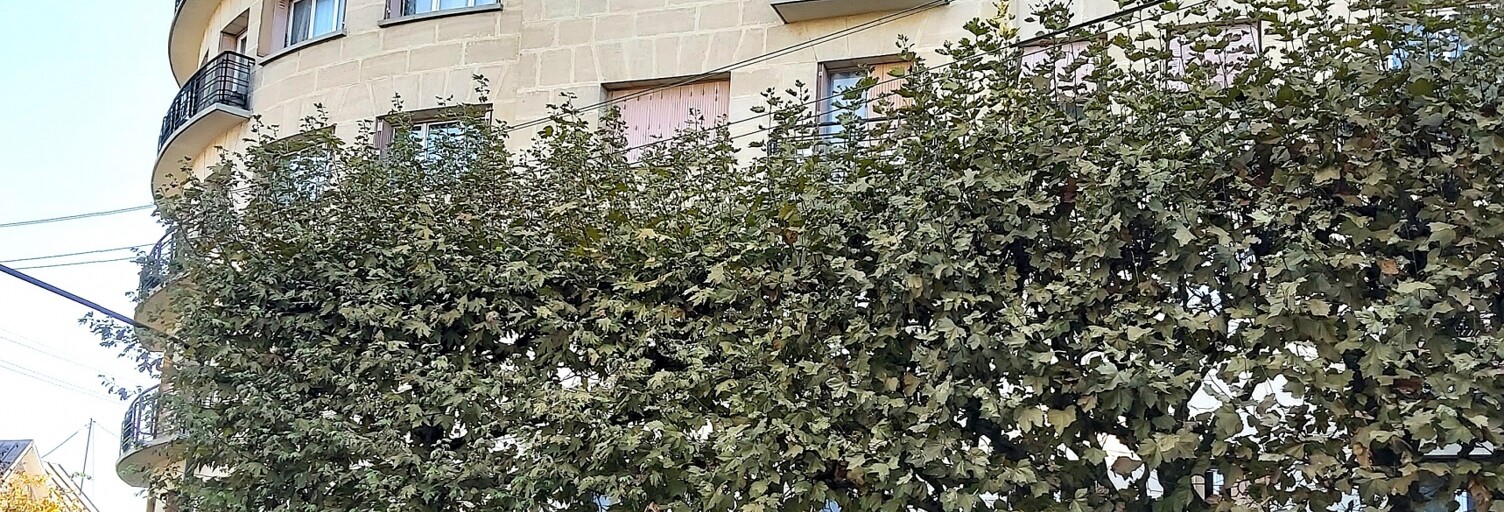 Appartement 3 Pièces 58 m² à vendre à Aulnay-sous-Bois (93600)