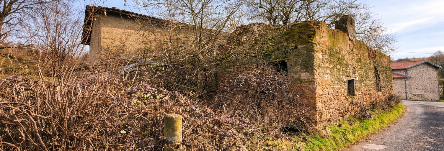 Maison 4 Pièces 200 m² à vendre à Montromant (69610)