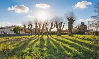 Terrain  407 m² à vendre à Arbanats (33640)