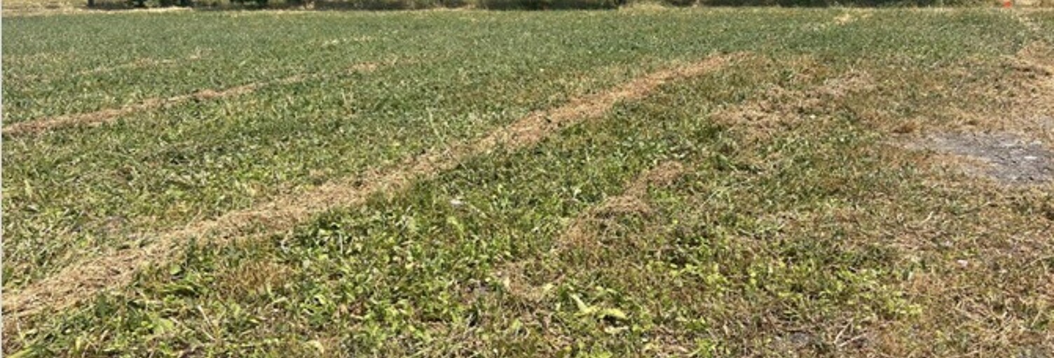 Terrain  398 m² à vendre à Mornac-sur-Seudre (17113)