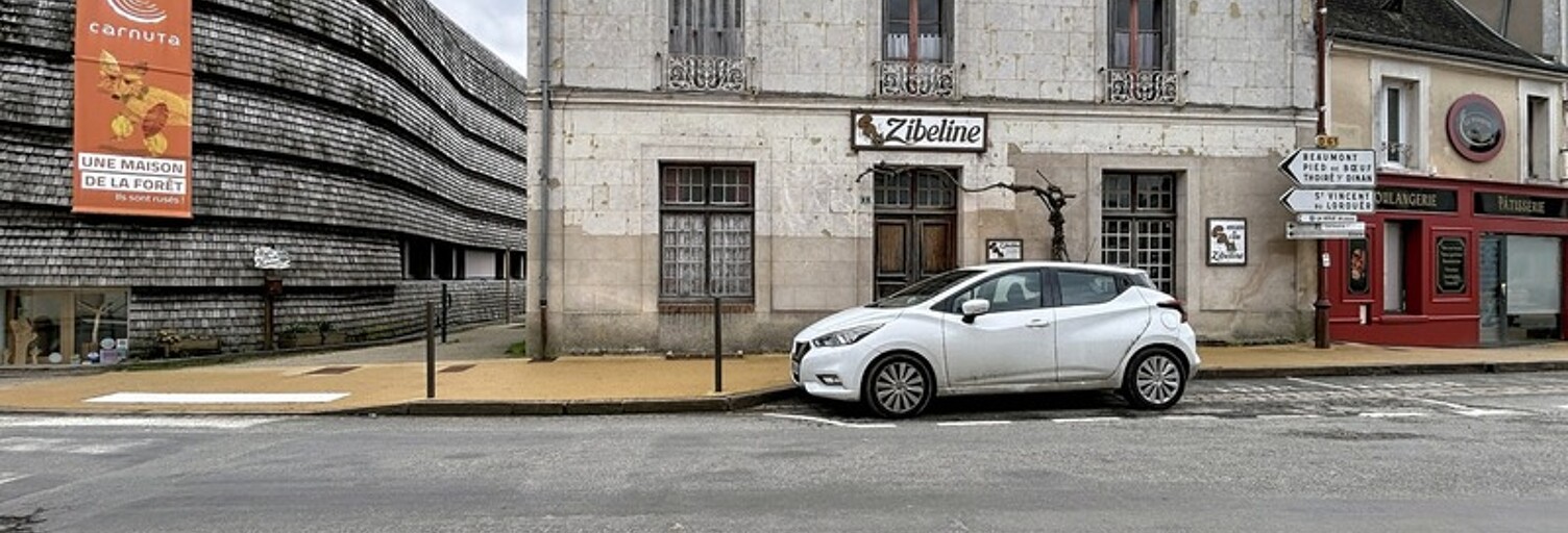Maison 8 Pièces 209 m² à vendre à Jupilles (72500)