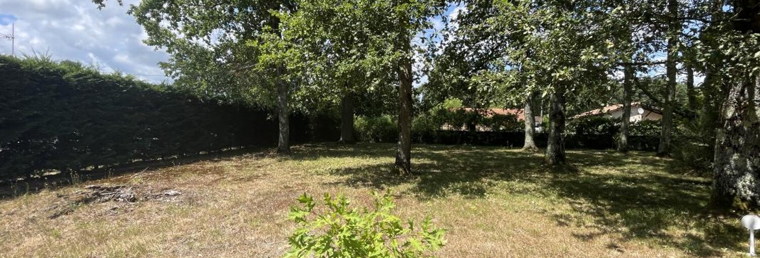 Terrain 500 m² à construire Margaux-Cantenac (33460)
