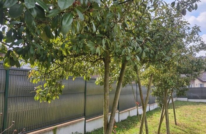 Terrain constructible de 351m², partiellement arboré. Non viabilisé — photo 3