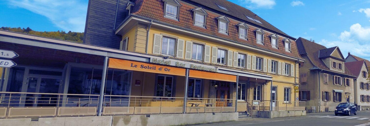 Maison 11 Pièces 1100 m² à vendre à Metzeral (68380)