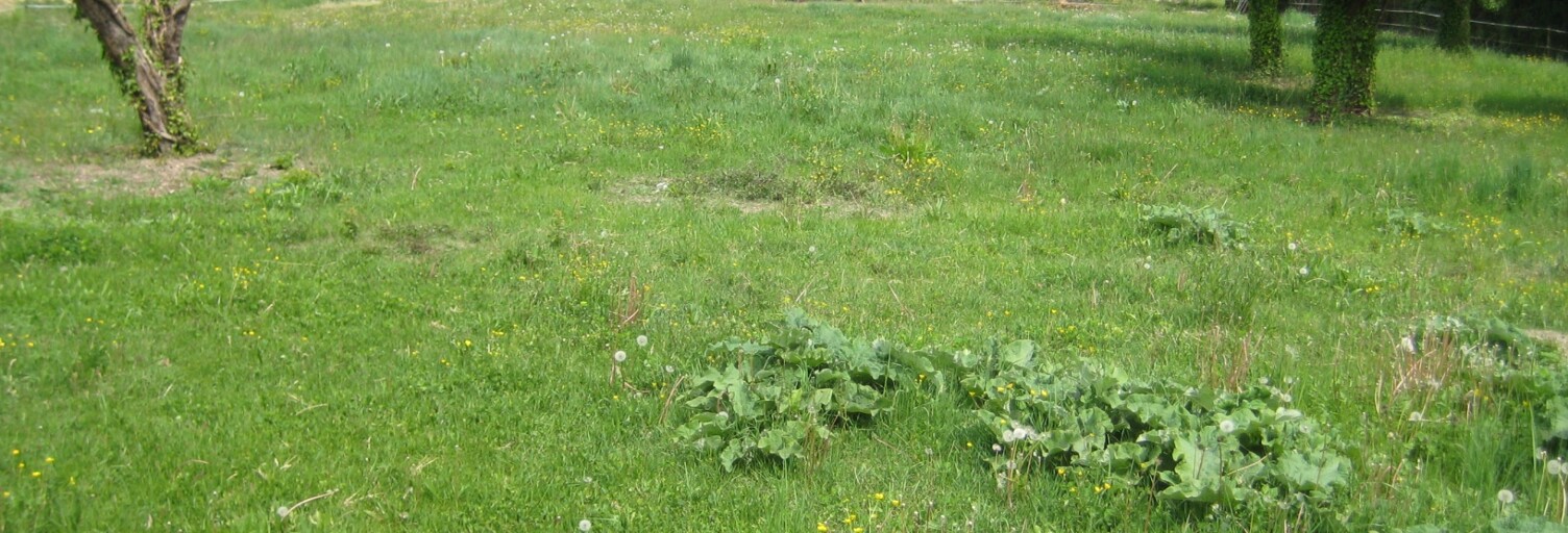 Terrain  1905 m² à vendre à Levens (06670)