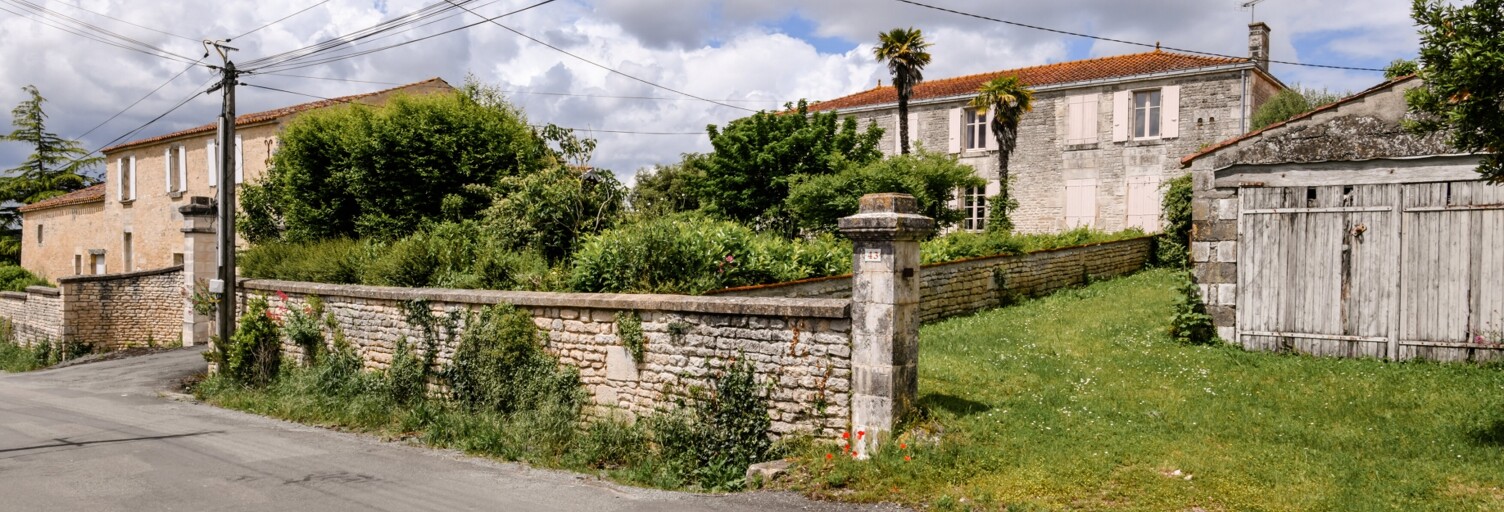 Photo N° 2
