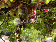 AUBIN - PROCHE CENTRE: AU CALME + COMMERCES SERVICES ECOLES A PIED! — photo 2