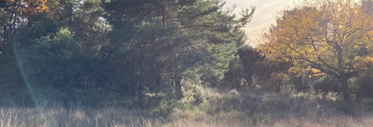 Terrain  2610 m² à vendre à Baudinard-sur-Verdon (83630)