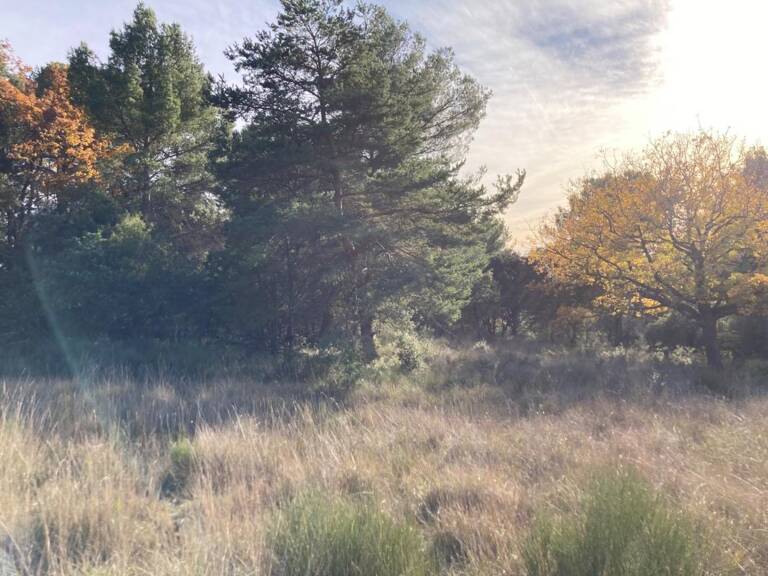   RARE À BAUDINARD-SUR-VERDON – TERRAIN À BÂTIR 2 610 m² – CADRE EXCEPTIONNEL AUX PORTES DU VERDON ! — photo 1