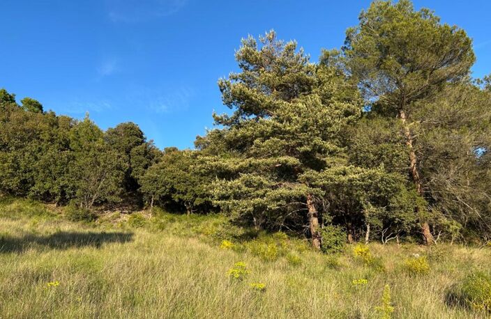 🚨 RARE À BAUDINARD-SUR-VERDON – TERRAIN À BÂTIR 2 610 m² – « Le charme de la Provence aux portes du Verdon » — photo 2