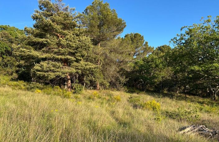 🚨 RARE À BAUDINARD-SUR-VERDON – TERRAIN À BÂTIR 2 610 m² – « Le charme de la Provence aux portes du Verdon » — photo 3