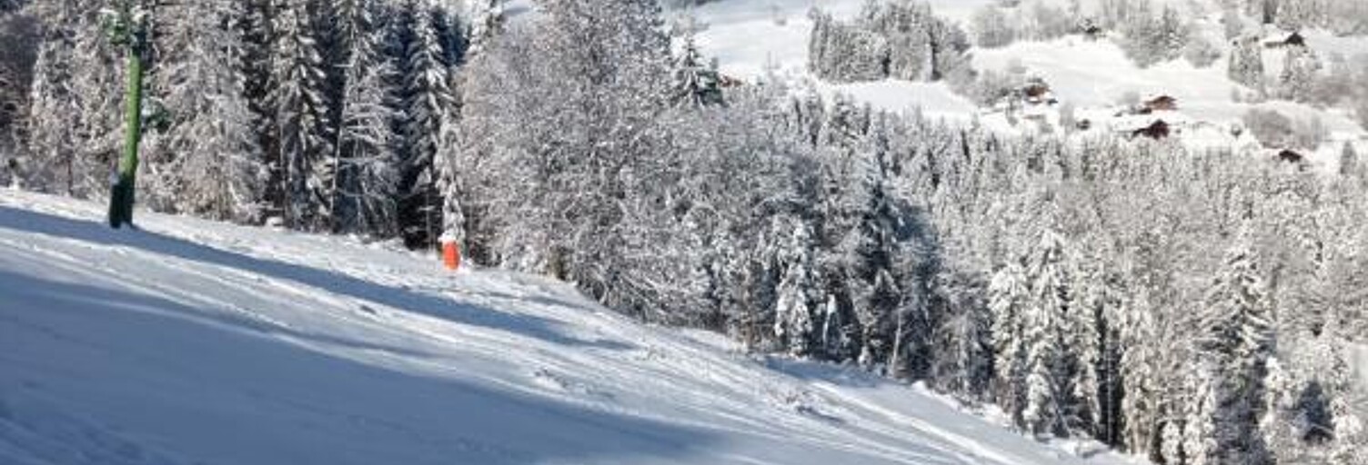 Appartement 2 Pièces 24 m² à vendre à Cordon (74700)