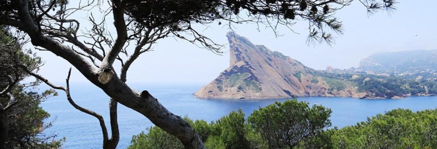 Maison 6 Pièces 300 m² à vendre à Ceyreste (13600)