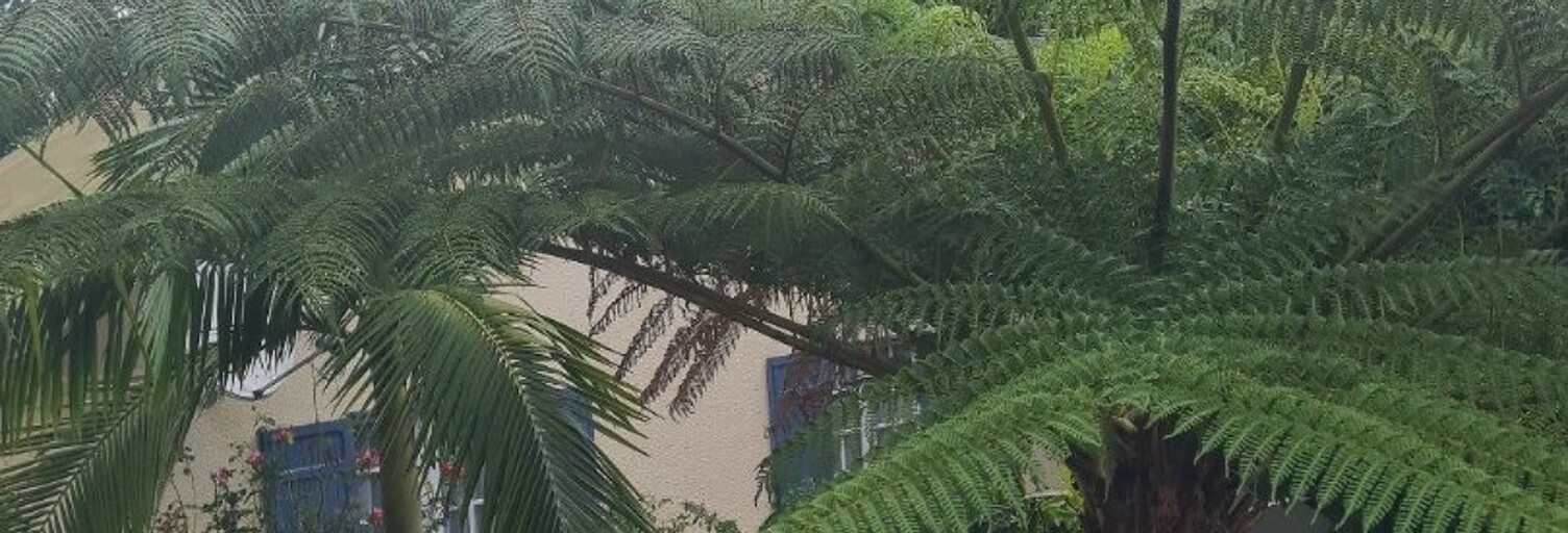 Maison 4 Pièces 86 m² à vendre à Le Tampon (97430)