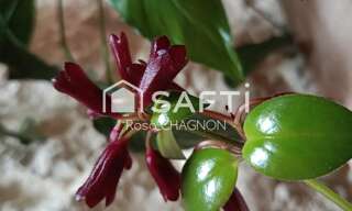 Maison 3 Pièces 85 m² à vendre à Longèves (85200)